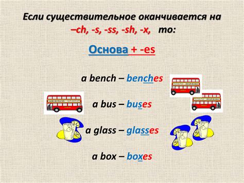 Множественное число в фамилии Чуб