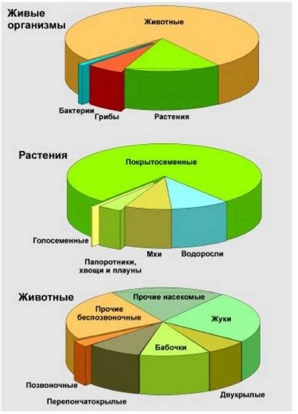 Множество возможностей: разнообразие в жизни и отсутствие заранее определенного пути