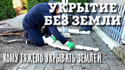 Мобы, отказывающиеся созидать свои укрытия на высотных ступенях