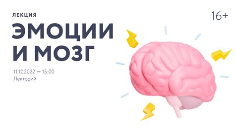 Мозг и эмоции: взаимосвязь и воздействие на нашу поведенческую реакцию