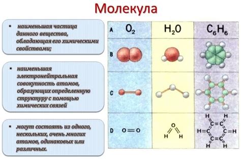 Молекула: определение и свойства