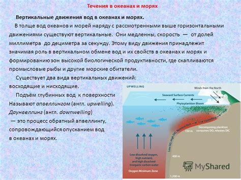 Морская вода и процесс замерзания в океанах и морях