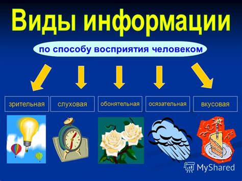 Мультимедийная информация: совмещение различных способов восприятия