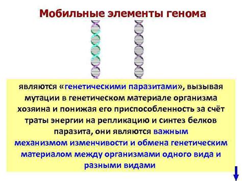 Мутации в генетическом материале