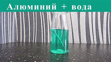 Мухи и вода: взаимодействие