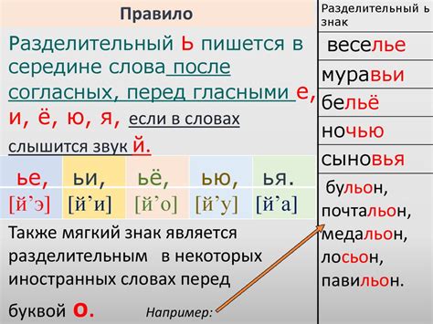 Мягкий знак в русском языке