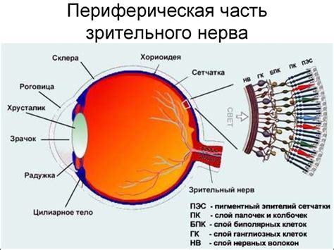 Нагрузка на зрительный аппарат