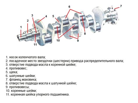 Назначение и принцип работы уплотнительного элемента для коленчатого вала