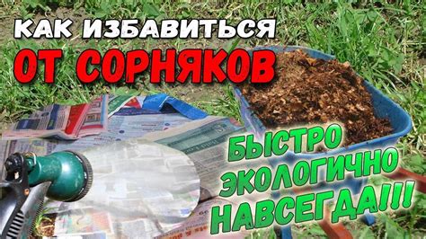 Народные средства для борьбы с пригаром на эмалированной кастрюле