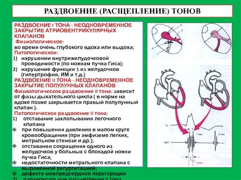 Нарушение внутрижелудочковой проходимости у взрослых