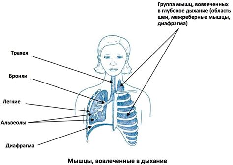 Нарушение дыхания роговицы