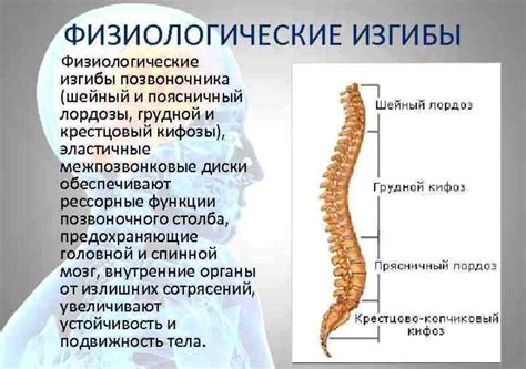 Нарушение статики гоп: что это