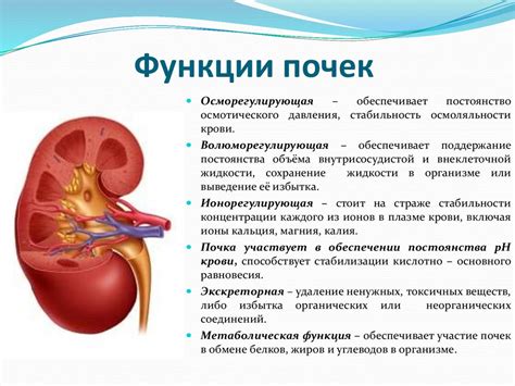 Нарушение функции почки и появление отеков