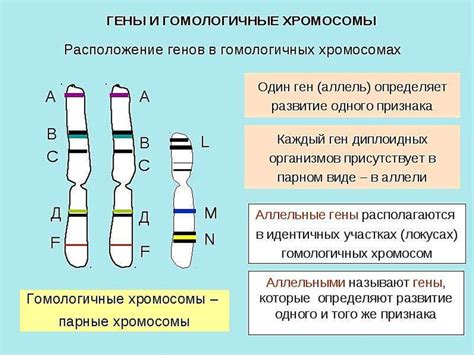 Наследственность и генетика