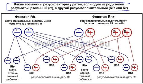 Наследственность – ключевой фактор