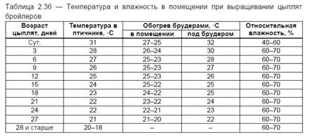 Настройка режимов работы и выбор оптимальных температур для приготовления в духовке