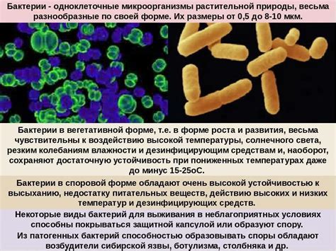 Неблагоприятные условия для микроорганизмов