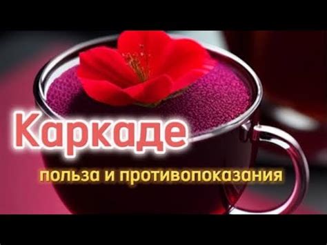 Негативные эффекты и противопоказания