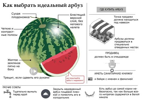 Недостатки хранения бахчевых культур в подвале