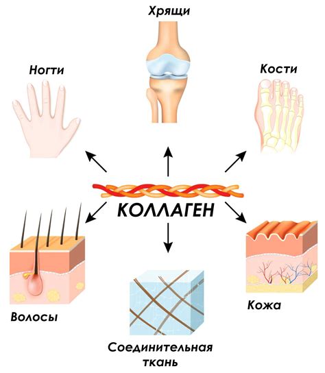 Недостаток коллагена