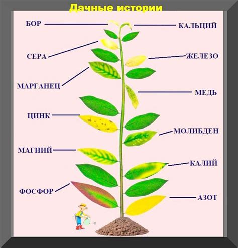 Недостаток питания