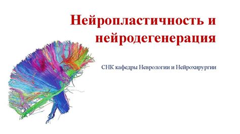 Нейропластичность и компаративная медицина