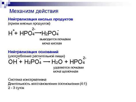 Нейтрализация кислотных продуктов обмена