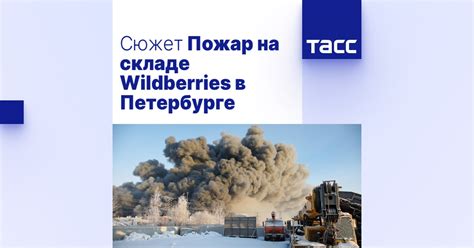 Необходимые навыки для работы на складе Wildberries