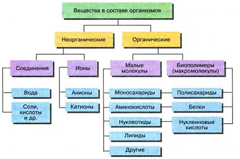 Неорганические соединения: примеры и их химический состав