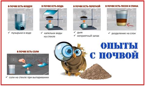 Неполадки с почвой и уровнем кислотности