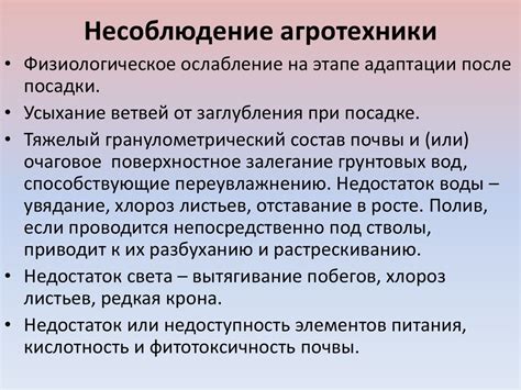 Несоблюдение агротехники