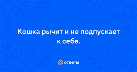 Не подпускает к себе