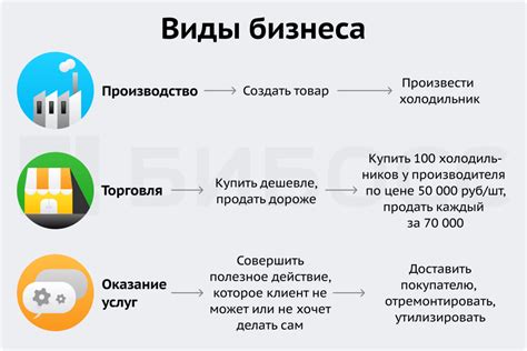 Область деятельности и виды бизнеса