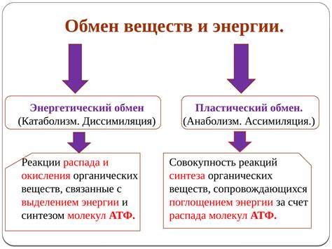 Обмен веществ и энергетический обмен: достигнутые результаты