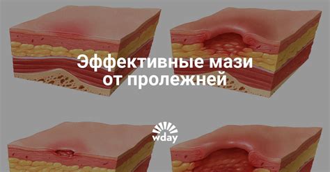 Обработайте пораженные участки