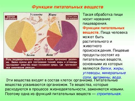 Обработка энергии организмом