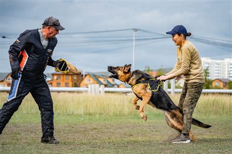 Обучение основным командам