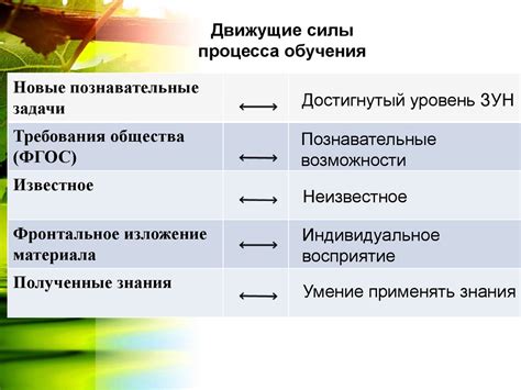 Обучение big picture как часть agile процесса