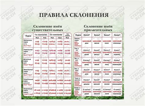 Общие правила склонения фамилии "Шкода"