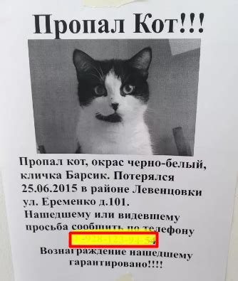 Объявление о пропаже в социальных сетях