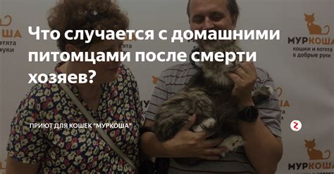 Ограничение контакта с домашними питомцами