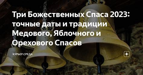 Ограничения и противопоказания к использованию спаса яблочного