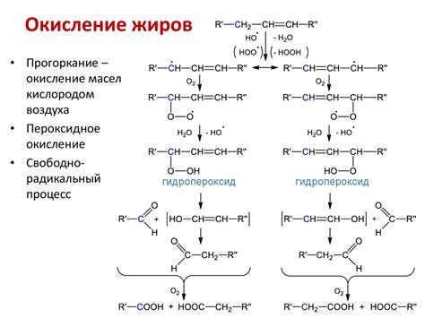 Окисление жиров