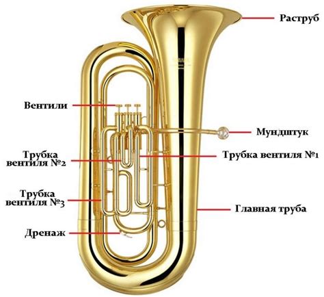 Описание музыкального инструмента