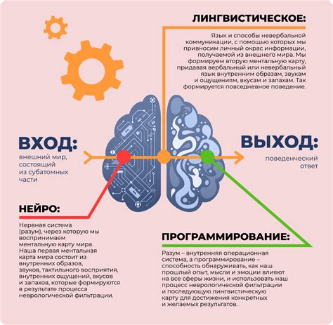 Определение НЛП в психологии