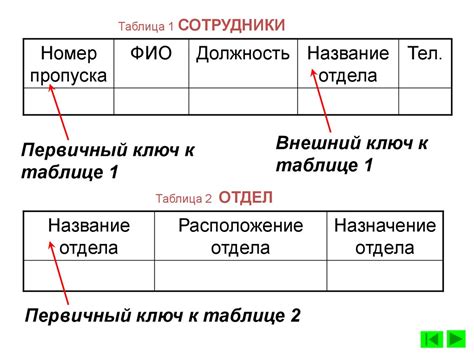 Определение данных понятий и их основное назначение