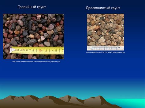 Определение и особенности наполнительного грунта