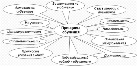 Определение и принципы образования