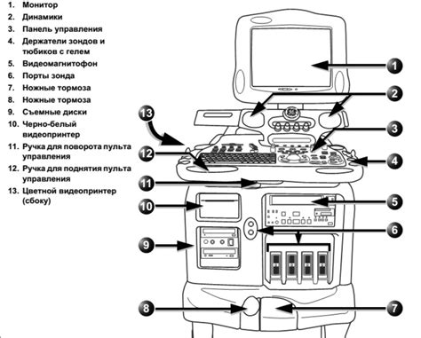 Определение и принцип работы уЗИ