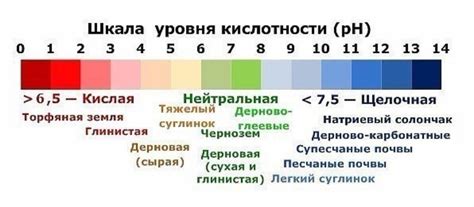 Определение нормы кислотности